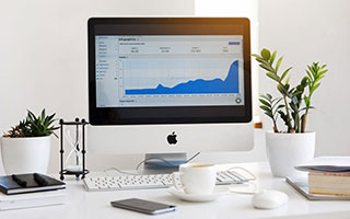 KAIYUNAPP-青少年体育活动管理规范，青少年体育管理体制